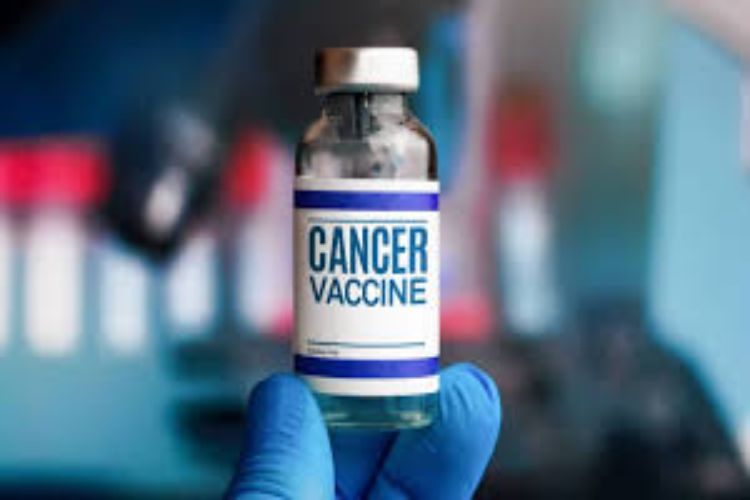 New cancer vaccines are to prevent recurrence of the disease: Experts