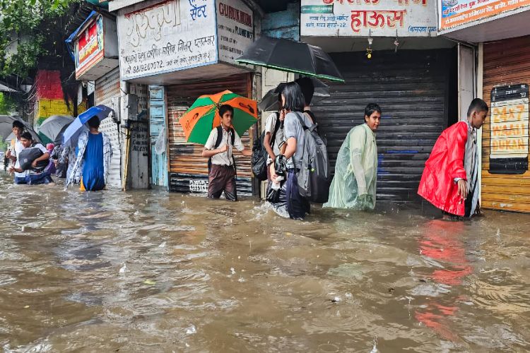 Due to heavy rains, all schools from class one to seven closed in Beed