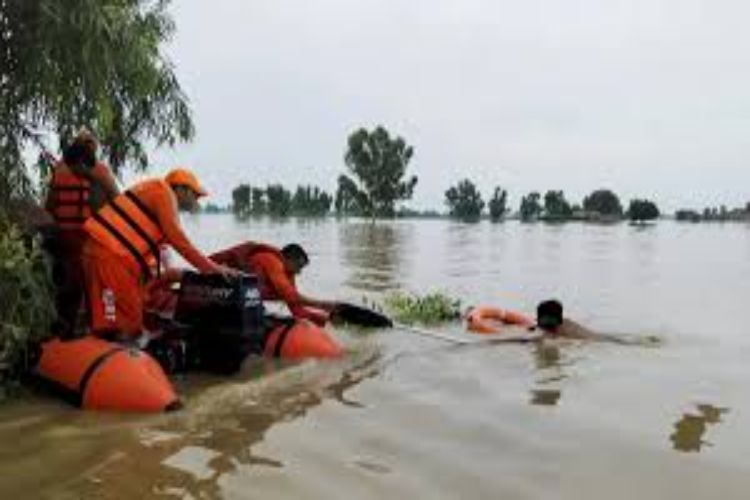 Amid floods in Punjab, Centre again appeals to people to join 'Pradhan Mantri Fasal Bima Yojana'