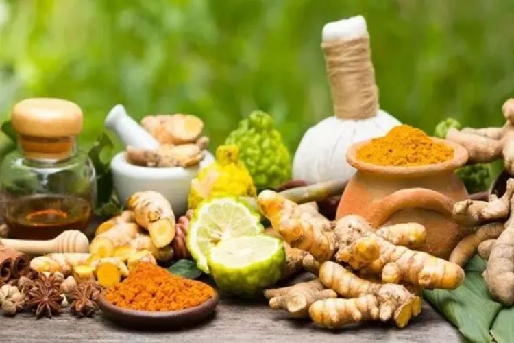 National Institute of Ayurveda, Panchkula to organise grand Ayurveda Day celebrations on 23rd September