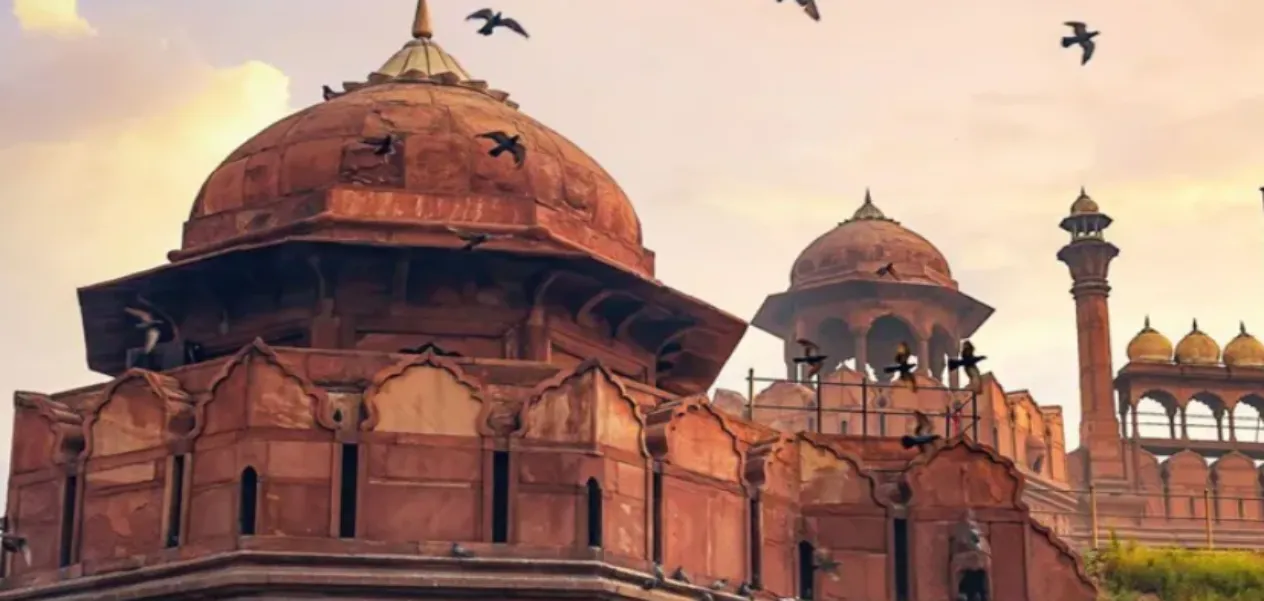 National heritage in danger: Delhi's pollution swallows up the Red Fort
