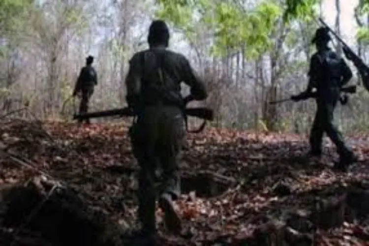 Chhattisgarh: Encounter in Bijapur, two Naxalites killed