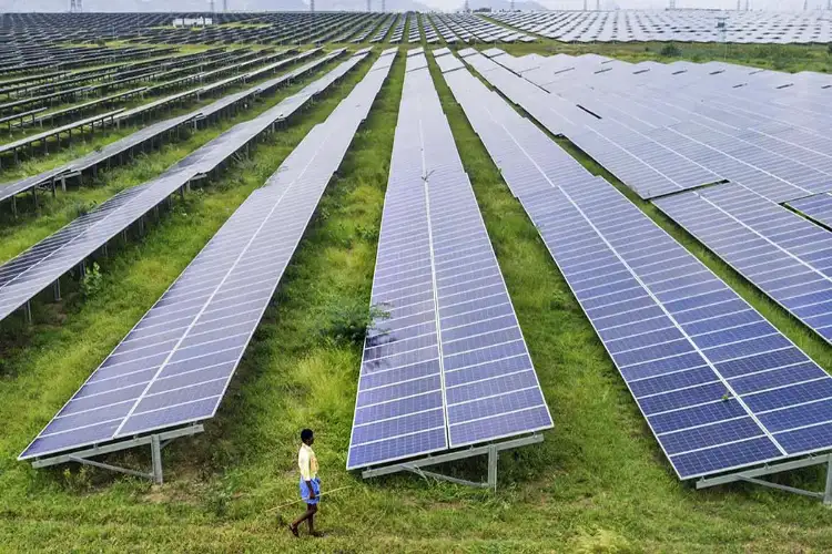 Dhordo becomes fourth solar village in Gujarat, 177 KW rooftop solar panels installed in 81 homes