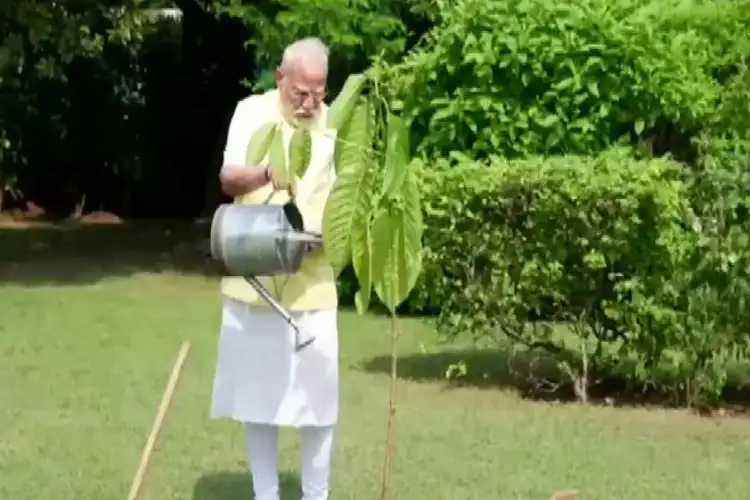 PM Modi plants a Kadamba tree he received from the British King on his birthday