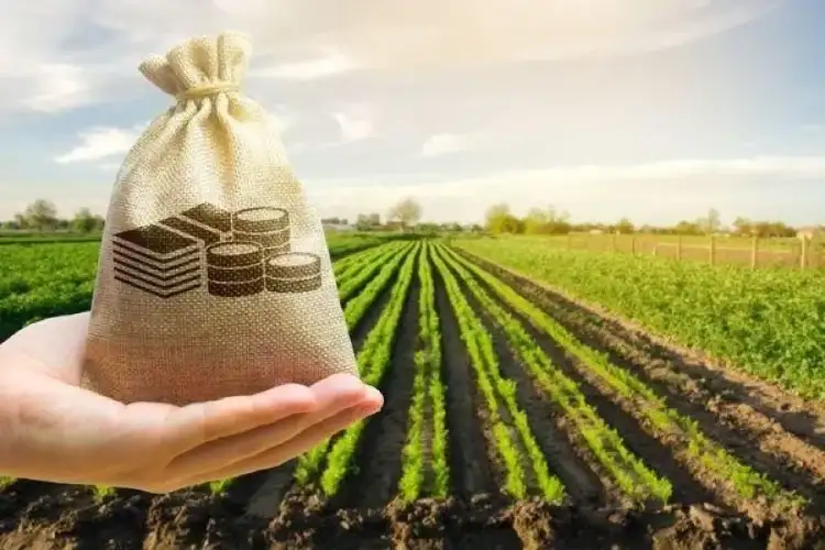 Farmers in Uttar Pradesh welcome GST reforms, say agriculture equipment has become more affordable
