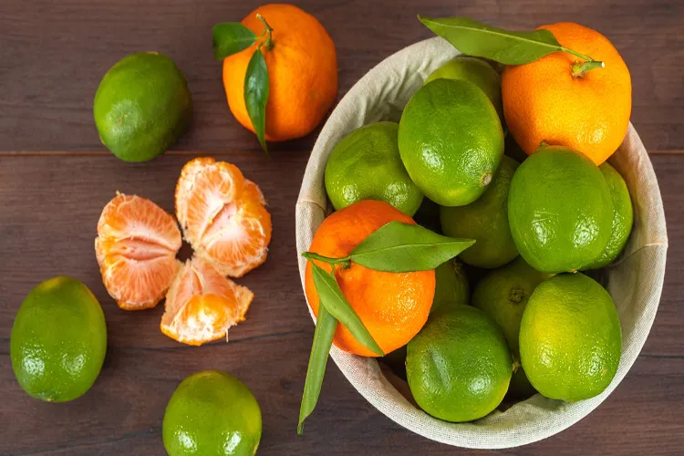 Oranges or lemons: Which is better for boosting immunity?