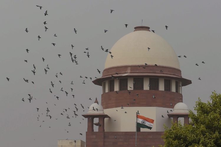 The court sought the Centre's response on a PIL seeking a ban on the import of yellow peas.