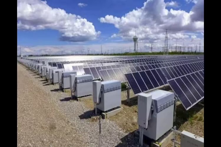 Delhi CM launches 55 MW solar power generation project