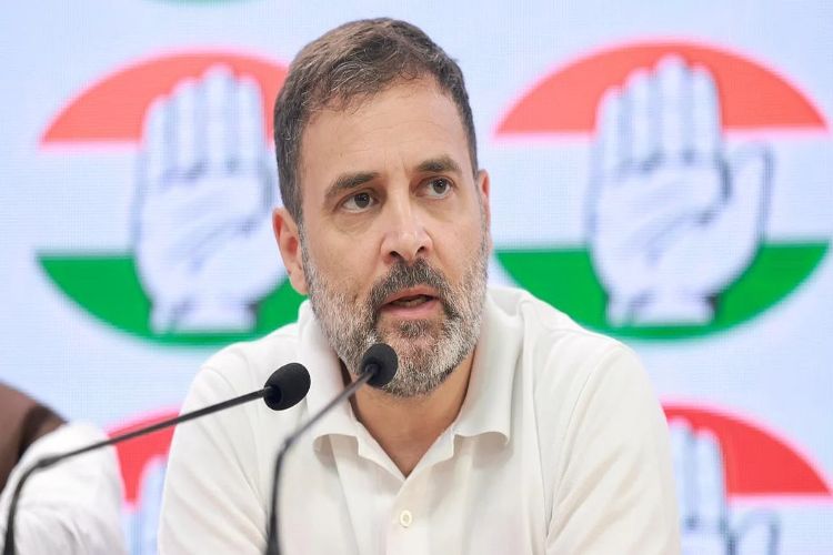 Indian companies can succeed through innovation, not crony capitalism: Rahul