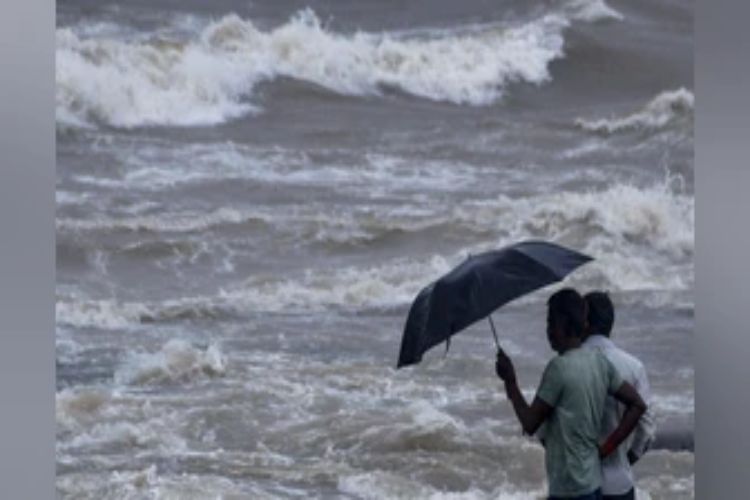 Four places in Odisha received heavy rainfall of more than 20 cm: IMD