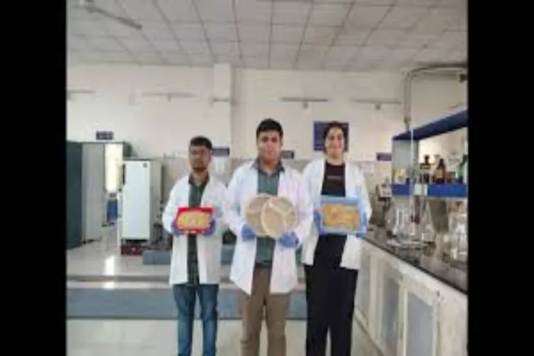 IIT Roorkee makes eco-friendly tableware from wheat straw
