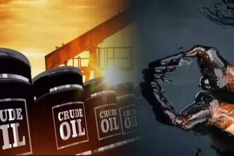 Russia to remain India's top crude oil supplier: Analysts