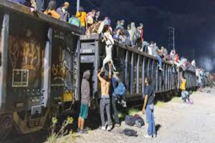 The dangerous deportation of migrants around the world: How did it become 'normal'?