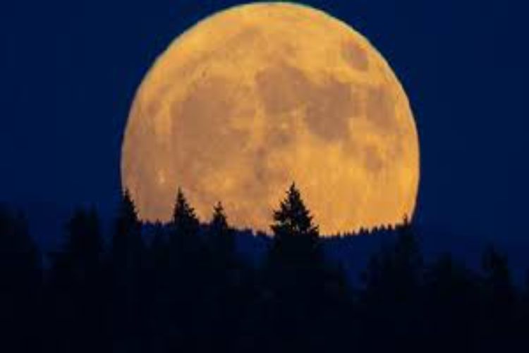 'Supermoon' will be visible in the sky on Monday, know why it is special?