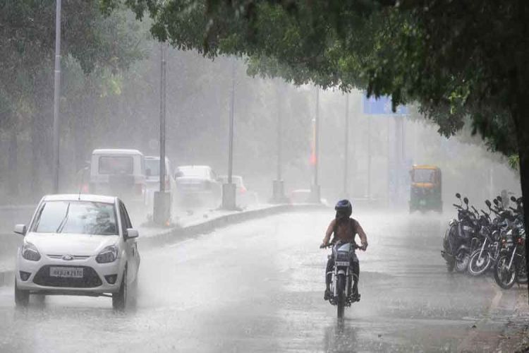 Rain in many parts of Punjab, Haryana brings down temperatures