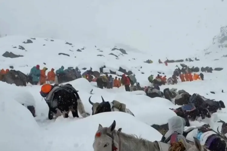 Hundreds of climbers rescued from Mount Everest after severe snowstorm