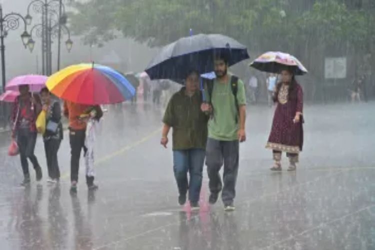 Heavy rain forecast in Kerala, orange alert in three districts