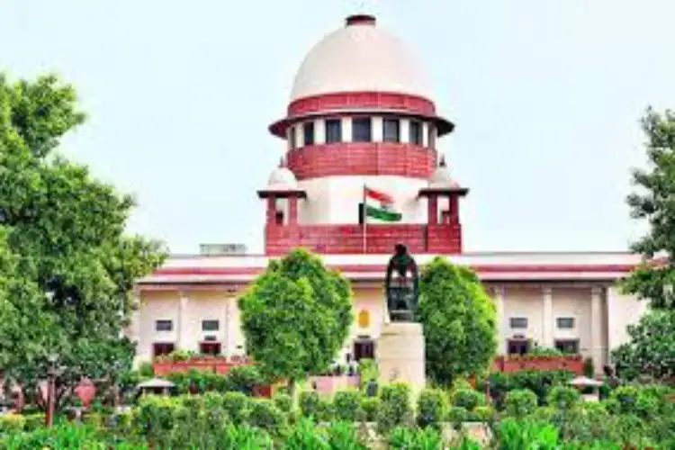The court asked the MP to file a petition in the High Court seeking an SIT probe into the irregularities.