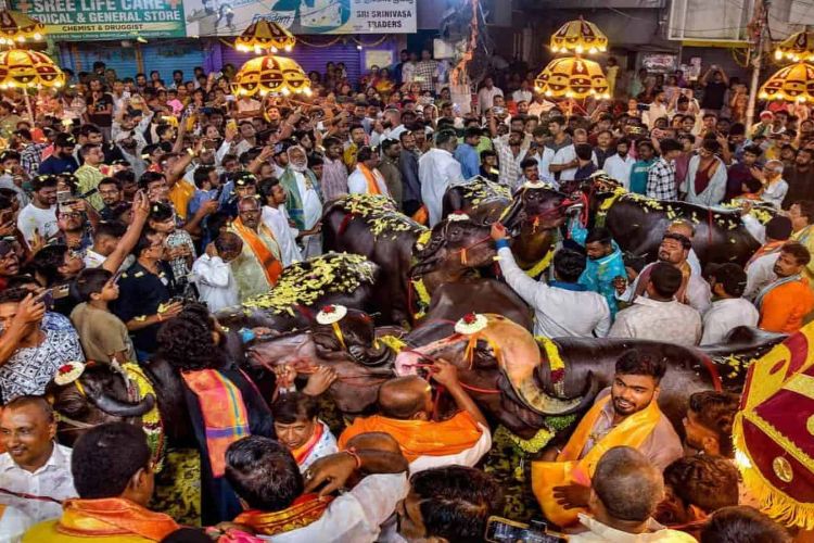 Sadar Mahotsav to be celebrated with great pomp in Hyderabad on October 19
