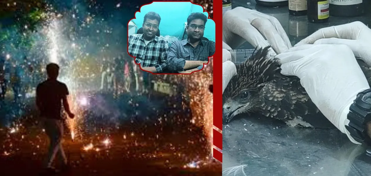 Wildlife Rescue: Nadeem and Saud ready to treat injured birds this Diwali