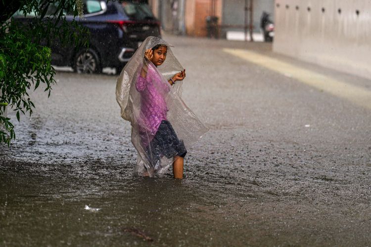 Rains lash Tamil Nadu, Udhayanidhi reviews works in South Chennai