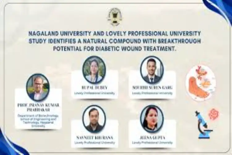 Nagaland University study identifies natural compound with potential for Diabetic treatment