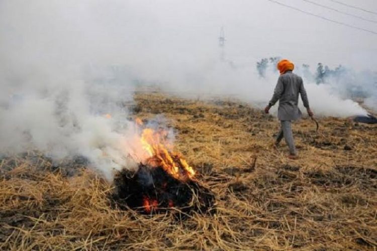 The Aam Aadmi Party (AAP) government in Punjab forced farmers to burn stubble: Sirsa