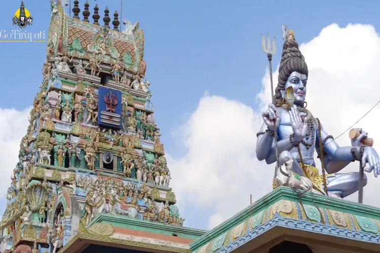 Andhra Pradesh: Kartik month celebrations begin in grand style at Mollapeta Moolasthaneswara Swamy Temple in Nellore