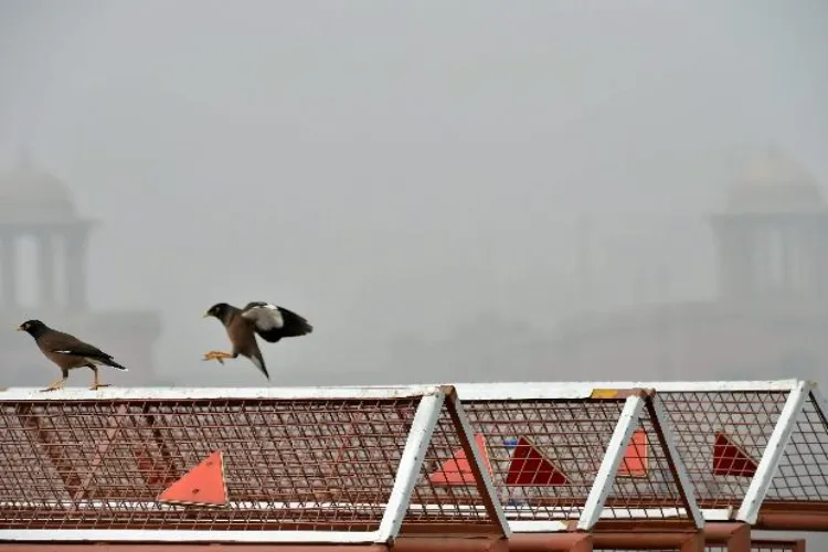 Delhi-NCR's air quality remains in the very poor category, with the overall AQI recorded at 362