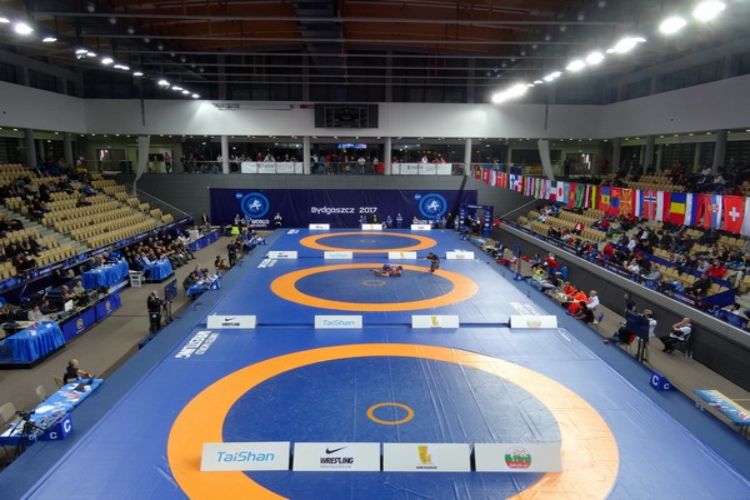 WFI suspends wrestler Sanjeev