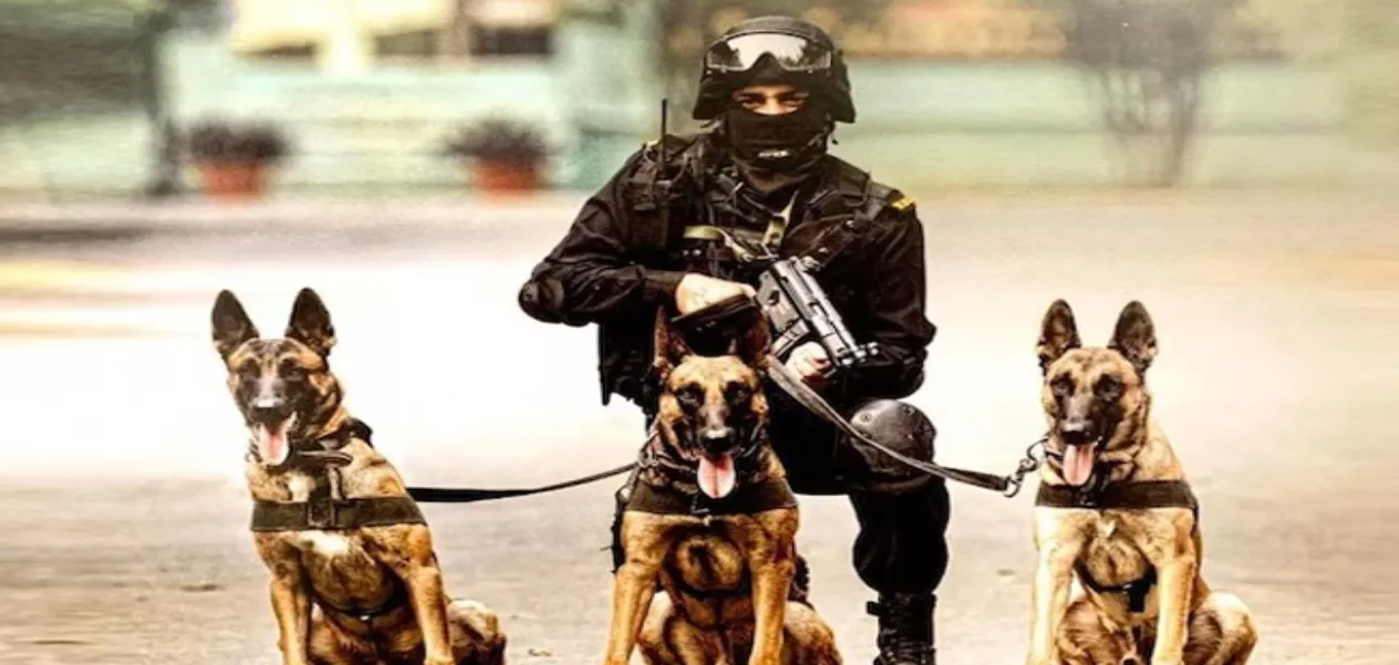 Indian dog breeds have become the new pride of the Border Security Force.