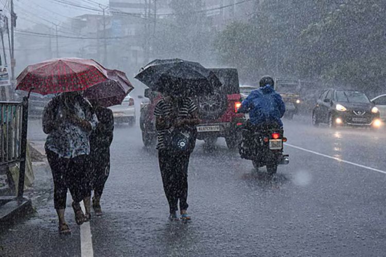 Heavy rain predicted in Tamil Nadu: IMD