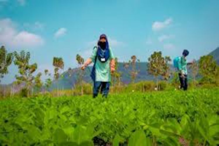 Chauhan told ICAR: Fill the vacant posts immediately to improve agricultural education.