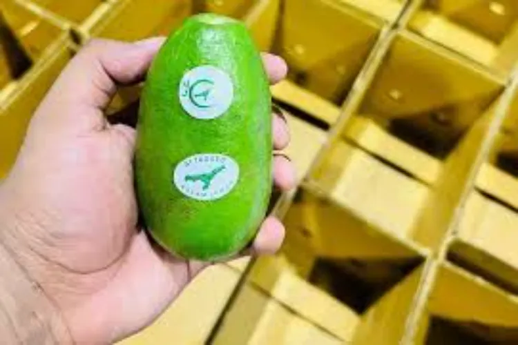 India air-exports GI-tagged 'Lemons' to the United Kingdom for the first time