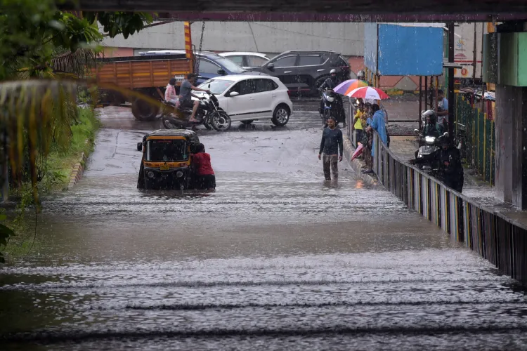 IMD issues yellow alert for light rain in several districts of Maharashtra