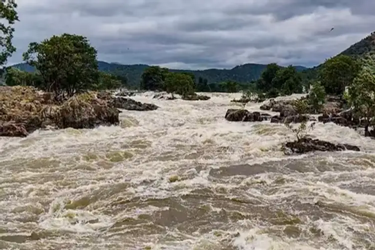 Cyclone Montha: IMD predicts heavy rainfall over eastern, southern Telangana