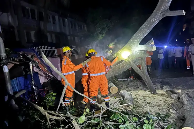 Cyclone 'Montha': Rain lashes parts of Odisha; landslides, damage to properties reported