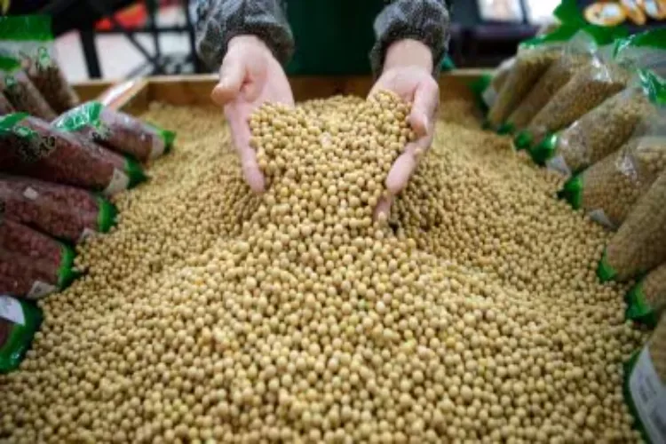 China ready to buy 25 million tonnes of soybean from America every year: Besant