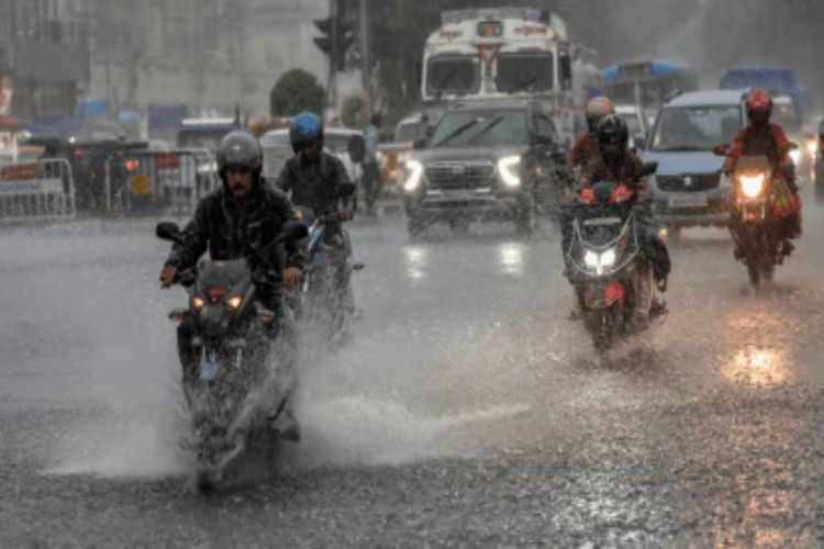 Heavy rainfall is expected in some districts of North Bengal: Meteorological Department