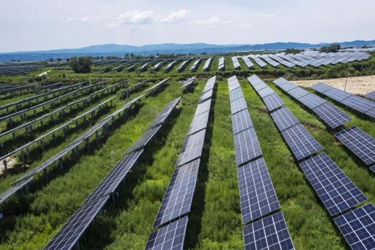 Adani Solar contributes significantly to India's clean energy campaign, dispatches 15,000 MW of solar modules