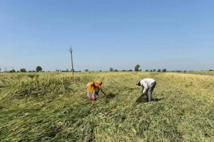 Gujarat Government to announce a relief package for farmers due to unseasonal rains