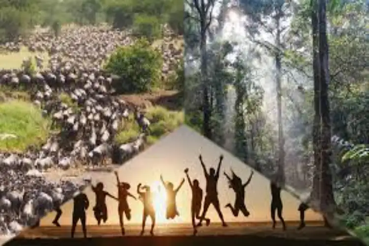 WHO urges collective action to tackle health threats at human-animal-environment interface on World One Health Day