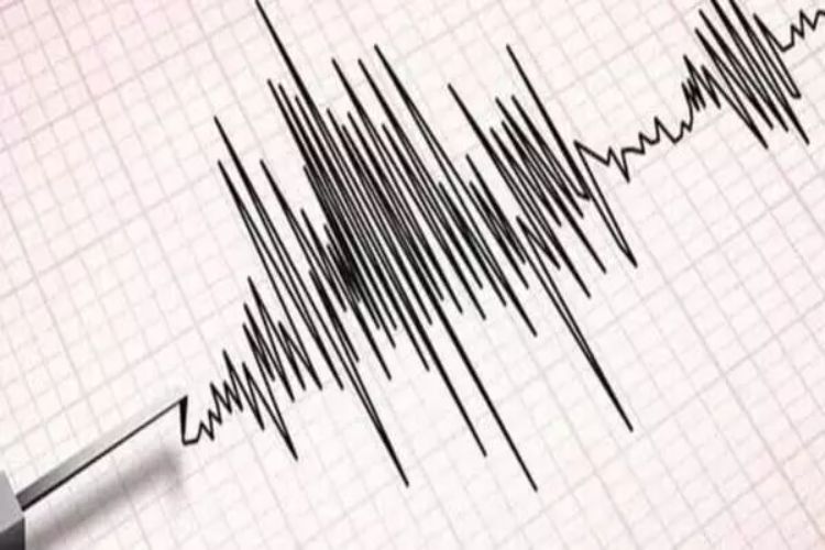 Mild tremors were felt in Alluri Sitarama Raju district of Andhra Pradesh, and also in Visakhapatnam.