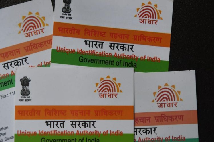 Only 11,272 foreign nationals possess Aadhaar cards: TMC MP cites UIDAI's response.