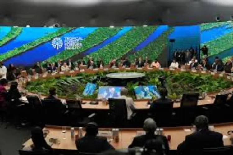 Brazil announces billions of dollars for its plan at the UN climate conference