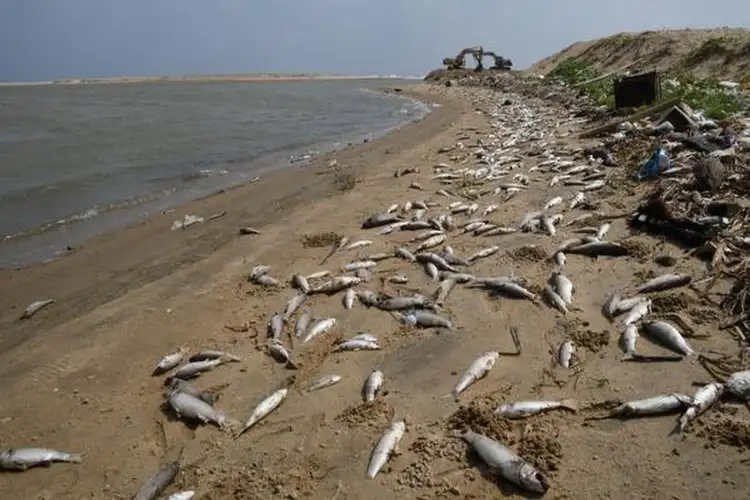 UP: Amethi fish trader found dead under mysterious circumstances