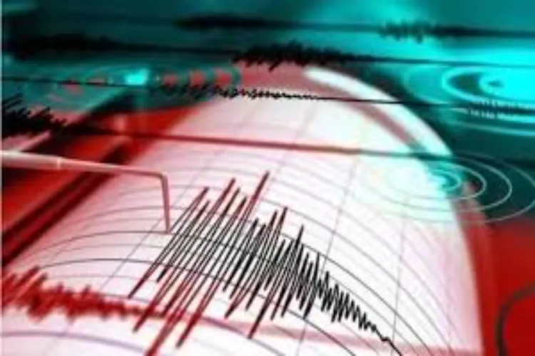 4.6 magnitude earthquake hits Afghanistan