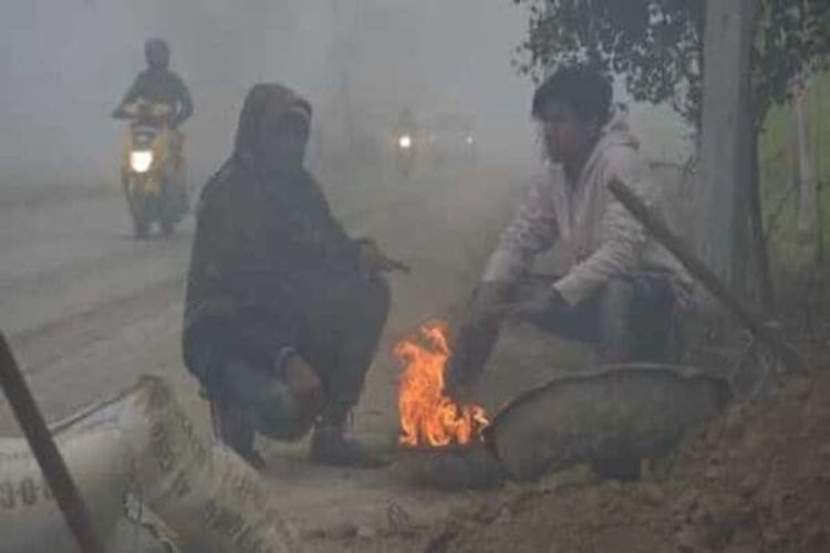 Cold wave in Rajasthan, Fatehpur recorded a minimum temperature of 5 degrees Celsius