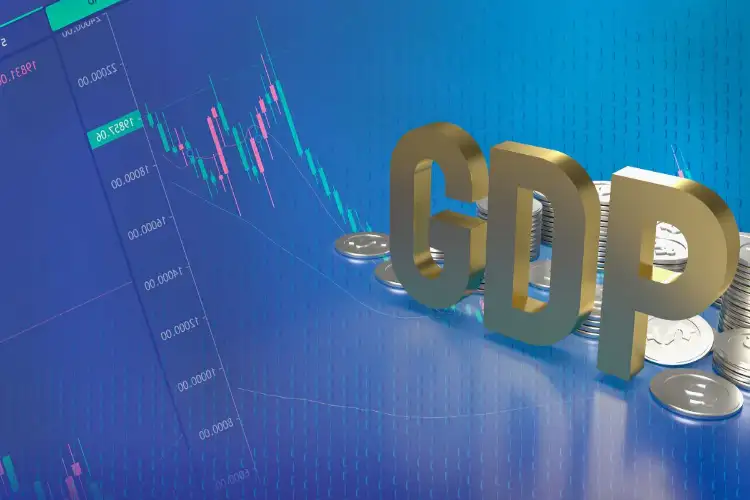 India's growth to be driven by domestic demand as external environment stays uncertain: Morgan Stanley