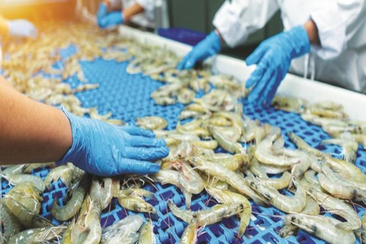 Non-US markets boost India's shrimp exports